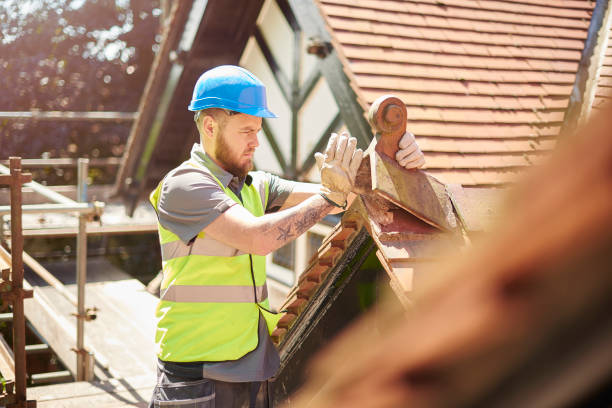 Best Roof Restoration Services  in Boston, GA